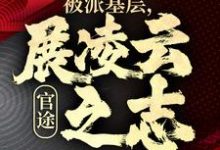 主人公是楚昊宇的小说官途:被派基层,展凌云之志免费阅读-推文官