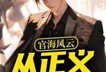 官海风云:从正义开始在线看,何强小说大结局在哪免费看-推文官