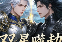 双星噬劫:山海弑神录热门小说(恒焱恒心)在线阅读无弹窗-推文官