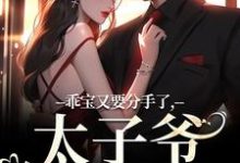 江颜厉霆骁最新章节乖宝又要分手了,太子爷求贴贴免费阅读-推文官