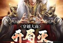 跪求主角是殷寿姬发的小说书名叫什么-推文官