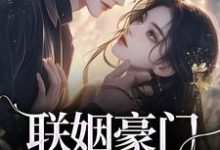 联姻豪门继承人后,我逃婚了!免费阅读,沈心姿陆仲廷大结局无弹窗-推文官