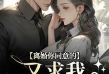 离婚你同意的，又求我复婚干什么（主角沈青漓周晏辰）完结版免费阅读-推文官
