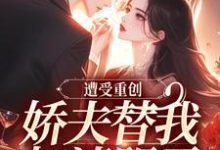 遭受重创,娇夫替我扫清阴霾小说最新章节在哪里可以免费看-推文官