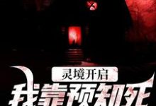 主人公是陈冥肖洁的小说灵境开启,我靠预知死亡技能无敌免费阅读-推文官