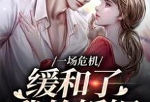 小说一场危机，缓和了我的婚姻（南迦北铮）最新章节在哪看-推文官