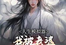 精彩章节阅读人生模拟器：我被老婆逼成世间极境(白棋陈北玄)免费小说在线看-推文官
