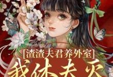 主角是叶宛卿萧时衍的小说渣渣夫君养外室，我休夫灭妾另高嫁在哪免费看-推文官
