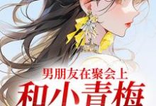 小说男朋友在聚会上,和小青梅吻红温了主角徐乔兮贺司裴免费阅读-推文官