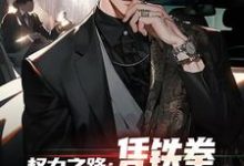 完结版权力之路:凭铁拳,我令黑势力退避在哪免费看,步青云王东林小说在线阅读-推文官
