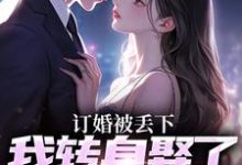 订婚被丢下,我转身娶了娇娇千金(江辰苏密)最新章节在线阅读-推文官