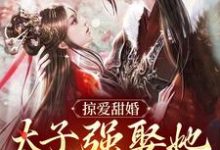 掠爱甜婚:太子强娶她入东宫最新章节掠爱甜婚:太子强娶她入东宫在线阅读-推文官