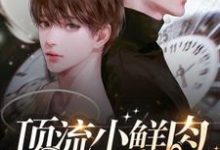 顶流小鲜肉每天只想官宣在线看，梦泽小说大结局在哪免费看-推文官