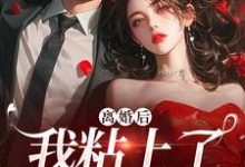 离婚后,我粘上了那位大佬无弹窗舒愿陆骁最新章节列表-推文官