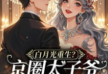 求助这本白月光重生？京圈太子爷被撩红温小说在哪里可以看完结版-推文官
