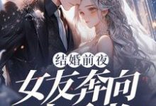 结婚前夜,女友奔向白月光小说最新章节在哪里可以免费看-推文官