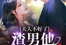 夫人不好了!渣男他要求爱(黎岁霍砚舟)完结版免费阅读-推文官