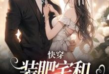 求助这本快穿：装肥宅和男主网恋后小说在哪里可以看完结版-推文官