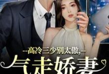 高冷三少别太傲,气走娇妻你完了!完结版江晚宁庄凌洲免费阅读大结局-推文官