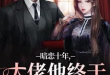 精彩章节阅读暗恋十年，大佬他终于持证上岗了(沈清沅贺景川)免费小说在线看-推文官