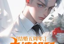 结婚五周年，老婆却和白月光狂欢（苏尘顾轻雪）完结版免费阅读-推文官