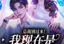 陆绾绾沈俞瑾小说的结局在哪可以看,总裁别过来!我现在是事业上升期免费阅读完结版-推文官