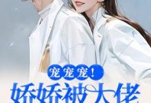 小说宠宠宠！娇娇被大佬拿命宠主角叶初夏陆执免费阅读-推文官