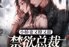 小娇妻又撩又甜,禁欲总裁宠上瘾热门小说(江熹季向聿)在线阅读无弹窗-推文官