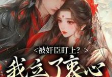 秦烟年沈知也最新章节列表被奸臣盯上?我立了衷心小弟人设!免费阅读-推文官