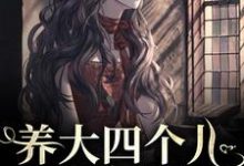 养大四个儿,八个孙,凄惨离世后精彩章节阅读(黄晚晴宋长武)免费阅读大结局-推文官