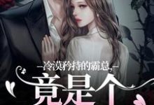 冷漠矜持的霸总,竟是个纯爱战士(宋诗予段斯昀)最新章节在线阅读-推文官