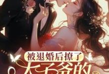 主角是陆砚昇乔曦的小说被退婚后撩了太子爷的检察官小叔在哪免费看-推文官