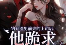 钓到渣男前夫的上司后,他跪求放过在线看,苏锦萧云锋小说大结局在哪免费看-推文官