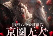 找到八个亲哥哥后,京圈无人敢惹她无弹窗叶小汐叶以辰最新章节列表-推文官