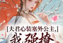 夫君心装塞外公主,我强撩也能到手(叶锦意萧凛渊)最新章节免费阅读-推文官