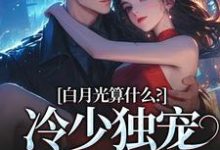 白月光算什么?冷少独宠拍卖师!精彩章节阅读(宋词慕景川)免费阅读大结局-推文官