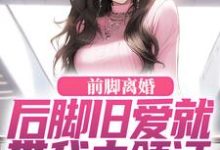 前脚离婚,后脚旧爱就带我去领证热门小说(陆沉苏婉清)在线阅读无弹窗-推文官