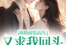 离婚前装高冷,又求我回头做什么完结版苏念封承烬免费阅读大结局-推文官