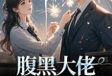 腹黑大佬诱拐小绵羊，婚后甜到齁无弹窗时有微沈皙白最新章节列表-推文官