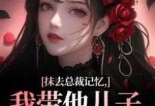 小说抹去总裁记忆,我带他儿子回苗寨主角裴景澈梨尤笙免费阅读-推文官