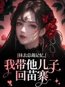 抹去总裁记忆，我带他儿子回苗寨无弹窗裴景澈梨尤笙最新章节列表