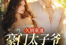 久别重逢，豪门太子爷他苦苦求宠（阮清月贺西楼）全本书籍阅读久别重逢，豪门太子爷他苦苦求宠完整版小说-推文官