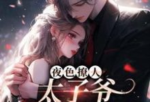夜色撩人,太子爷为她乱了心完整版小说夜色撩人,太子爷为她乱了心(楚璃徐砚周)全章小说阅读-推文官