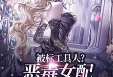 被标工具人?恶毒女配甩男主求自由(宋以宁陆明聿)小说推荐被标工具人?恶毒女配甩男主求自由全章小说阅读-推文官