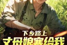 (全文)下乡路上,丈母娘塞给我一车嫁妆(林辰宋雨)全本书籍阅读下乡路上,丈母娘塞给我一车嫁妆免费小说全本-推文官