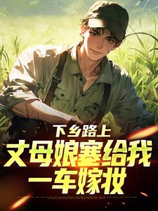 (全文)下乡路上，丈母娘塞给我一车嫁妆（林辰宋雨）全本书籍阅读下乡路上，丈母娘塞给我一车嫁妆免费小说全本