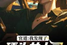 官道:我发现了顶头女上司的秘密(徐青胡丽娜)小说推荐官道:我发现了顶头女上司的秘密全章小说阅读-推文官