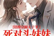 (全文)错撩京圈太子爷,死对头妹妹成真爱(叶清璃段鹤野)全本免费在线阅读-推文官