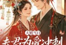 大婚当日，夫君为爱冲刺救白月光完整版小说，大婚当日，夫君为爱冲刺救白月光林菀堂萧睿川全章小说阅读-推文官