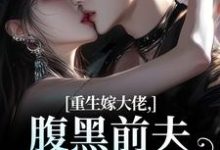 (全文)重生嫁大佬,腹黑前夫追妻火葬场林疏桐贺霆屿最新完结小说重生嫁大佬,腹黑前夫追妻火葬场免费小说全本-推文官